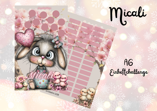 Micali Einheftchallenge